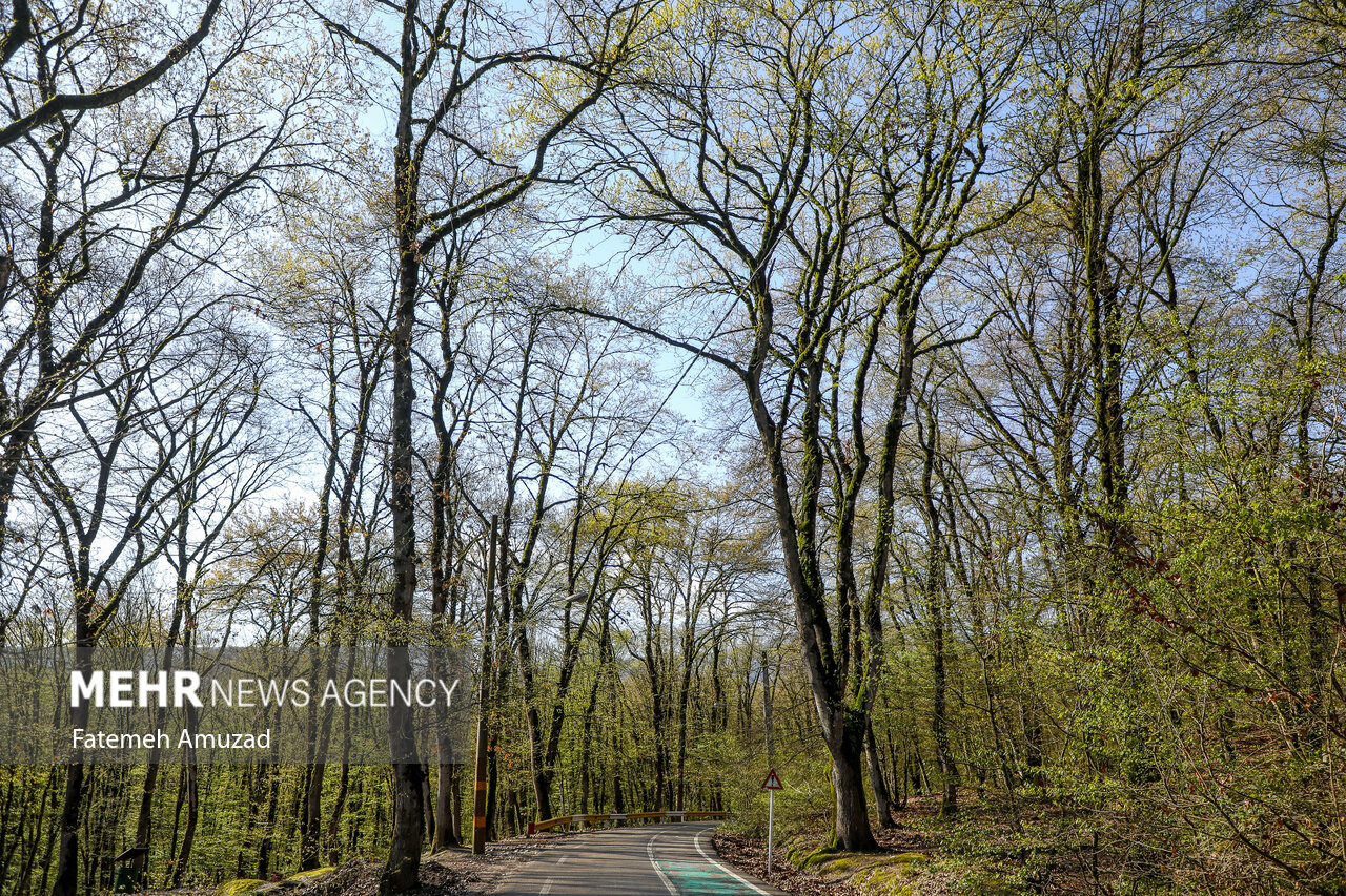Mehr News Agency – Alangdareh Forest Park in Gorgan