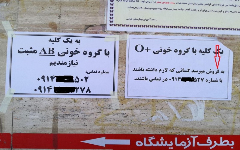 Desperation Drives Iranian Youth to Sell Organs in Black Market