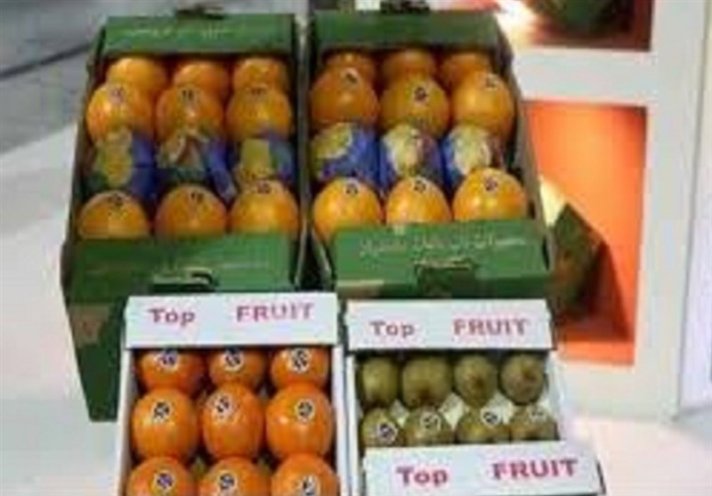 Over 125,000 Tons of Kiwi, Citrus Fruits Exported from Iran’s Mazandaran – Economy news