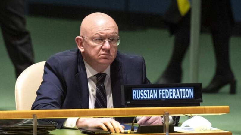 Nebenzia: U.S. is the cause of the crisis in West Asia