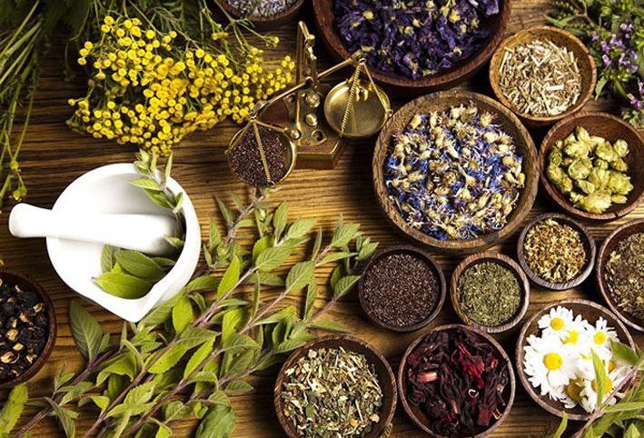 Persian Medicine Festival to develop knowledge-based enterprises: official