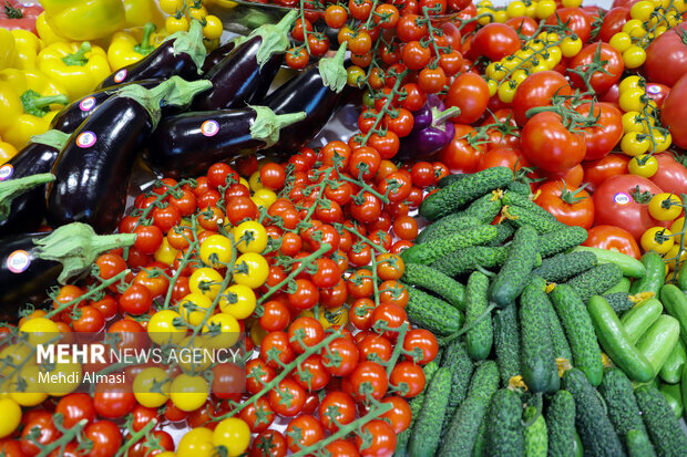 Greenhouse crop production rises 4% in Iran