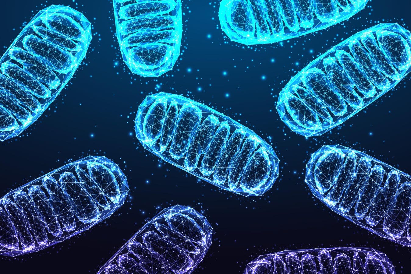 Could Mitochondria Be The Missing Link In Mental Illness? 12 Insights