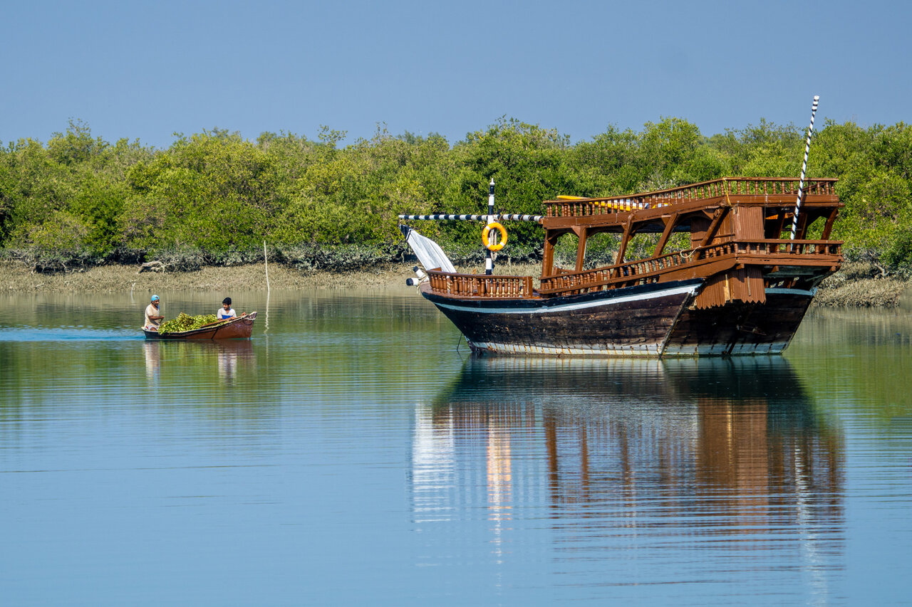 Soheili mangrove forest: a harmony of community and conservation