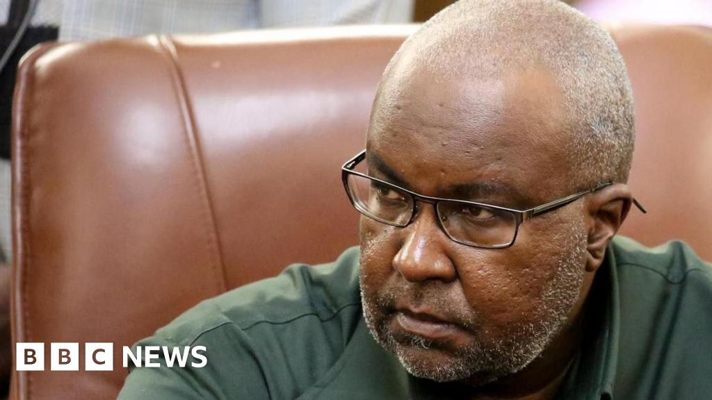 Namibian Agriculture Minister Mac-Albert Hengari sacked over rape allegations