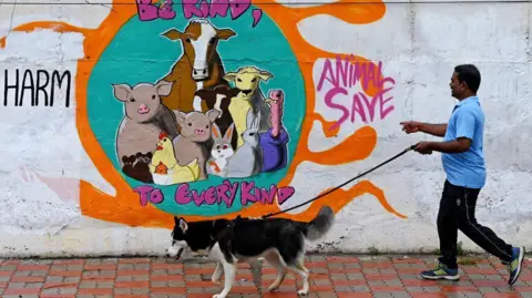 AFP A man along with his dog walks past a wall mural in Hyderabad on August 19, 2023.