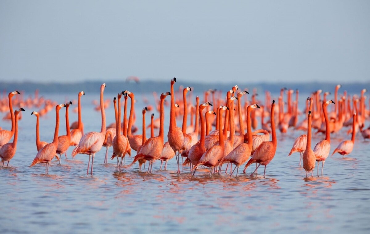VIDEO: Amazing beauty of Gorgan Gulf in Iran