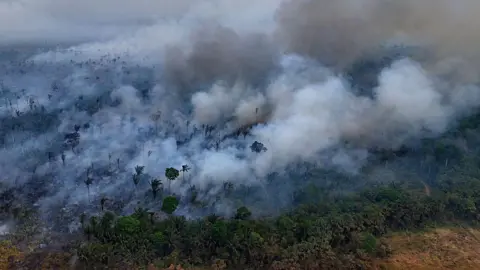 Getty Images Aerial shot of dense green rainforest with thick clouds of smoke rising up into the air