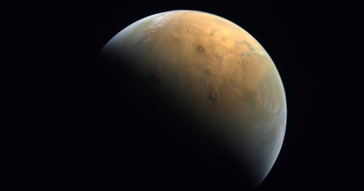 Musk says 50-50 chance of sending uncrewed Starship to Mars by late 2026 | Space News