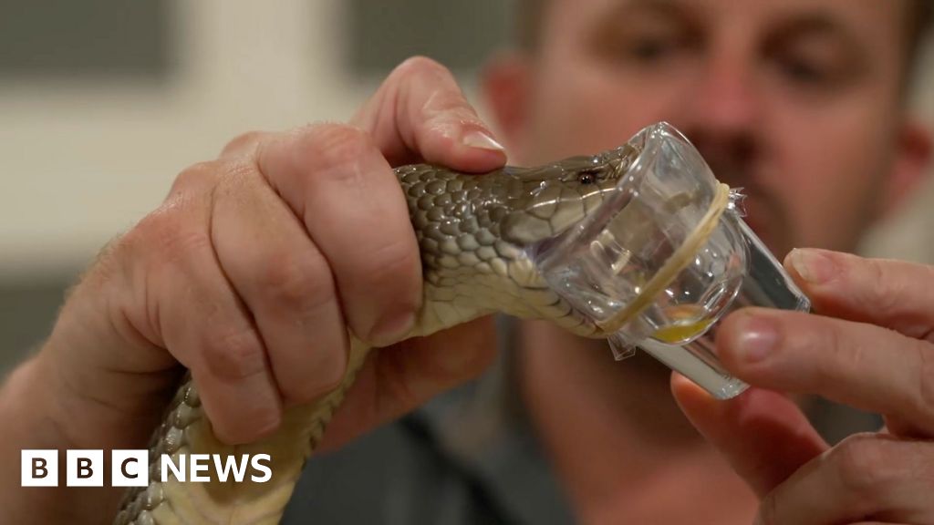 How Australia’s deadliest animals save lives
