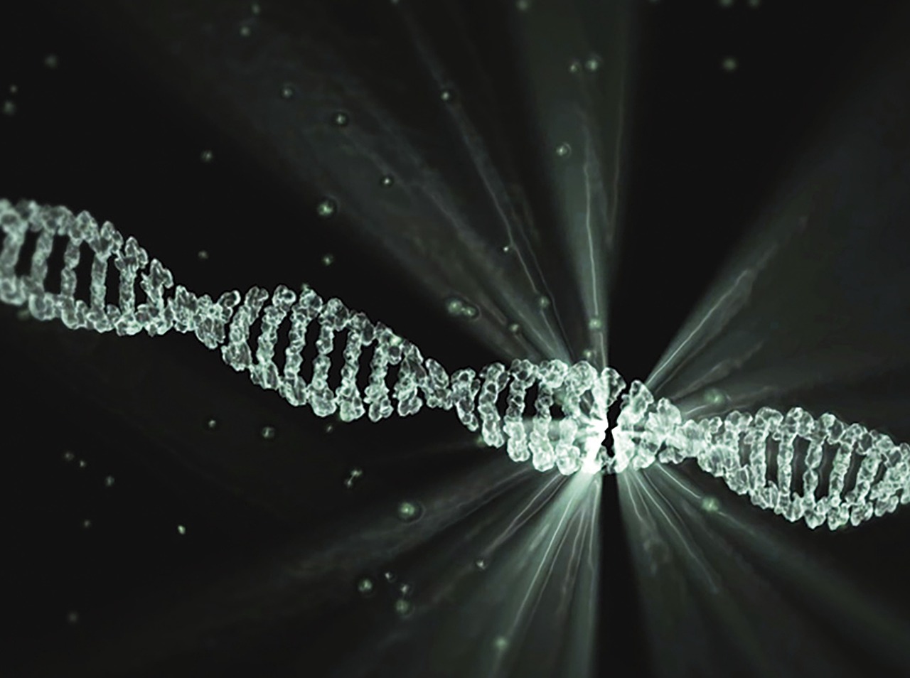 Genetic Code Regulates Stress Response in Cells