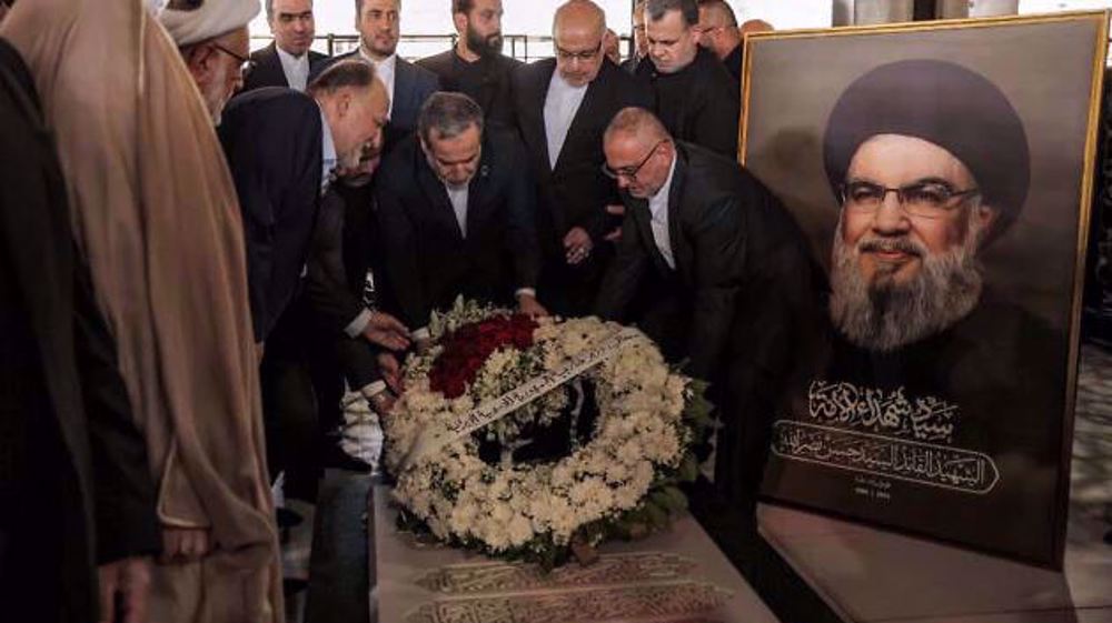 Iran FM discusses support for Lebanon in meeting with Hezbollah chief