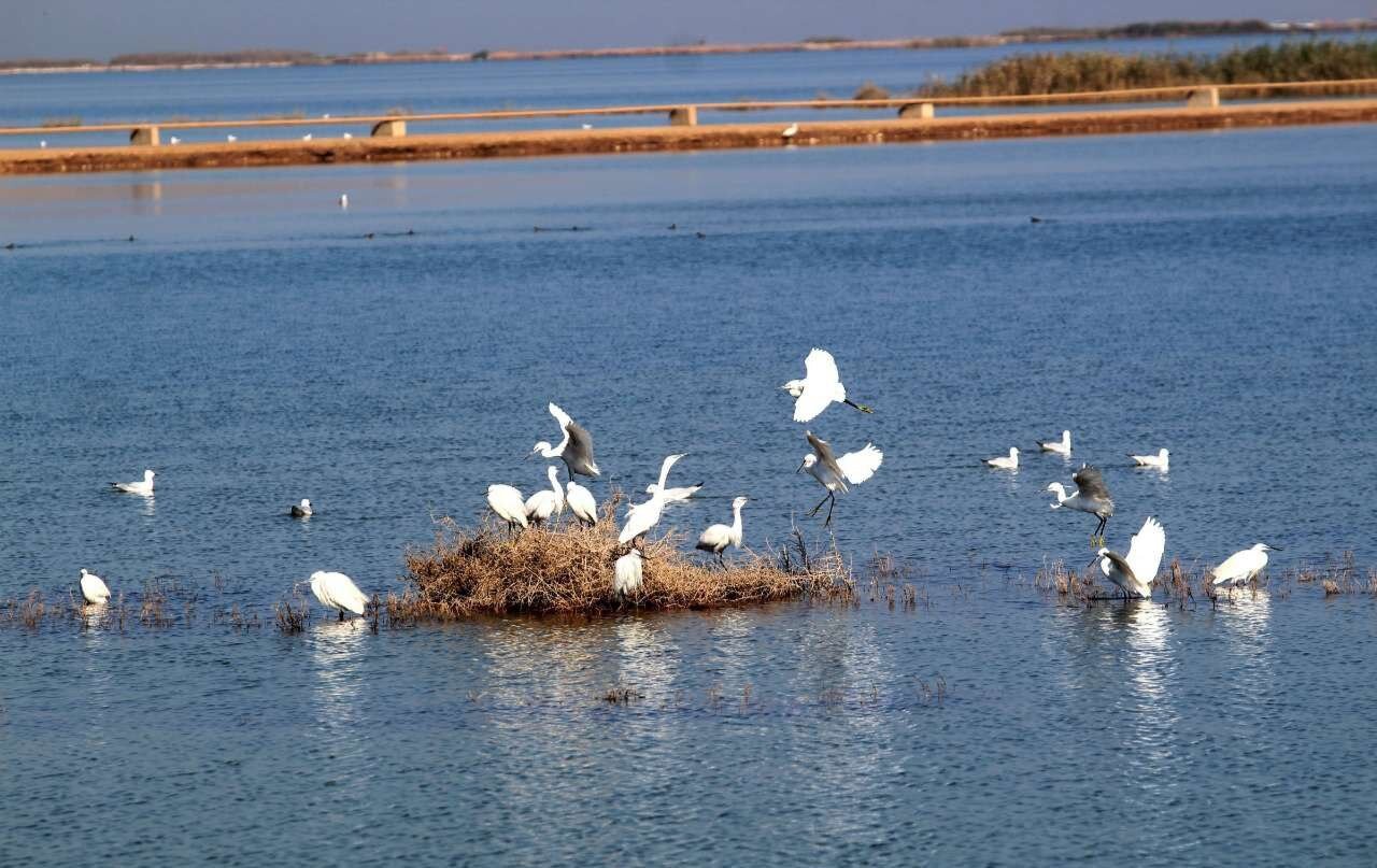 National plan to improve wetland conservation via empowering local communities
