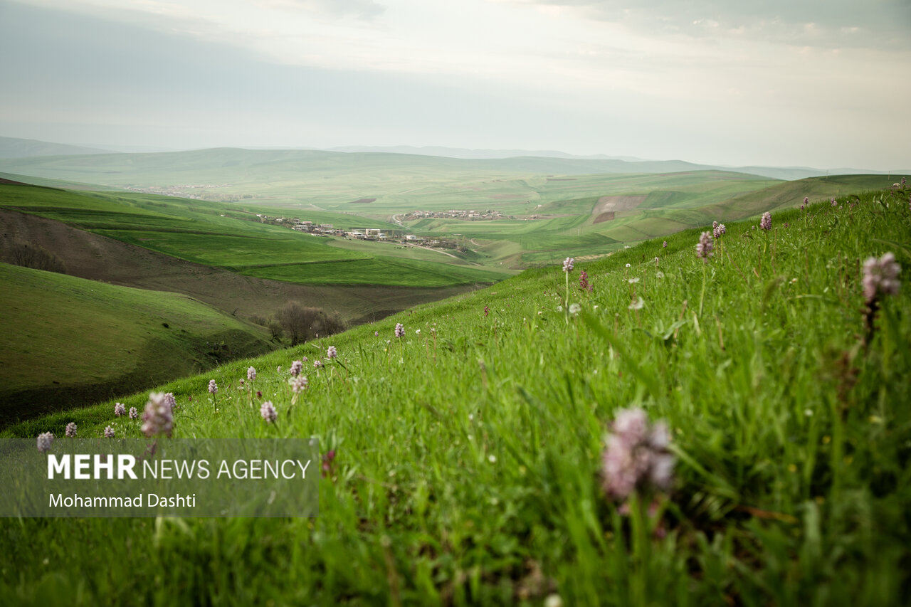 Mehr News Agency – Germi County, green gem in Ardabil prov.