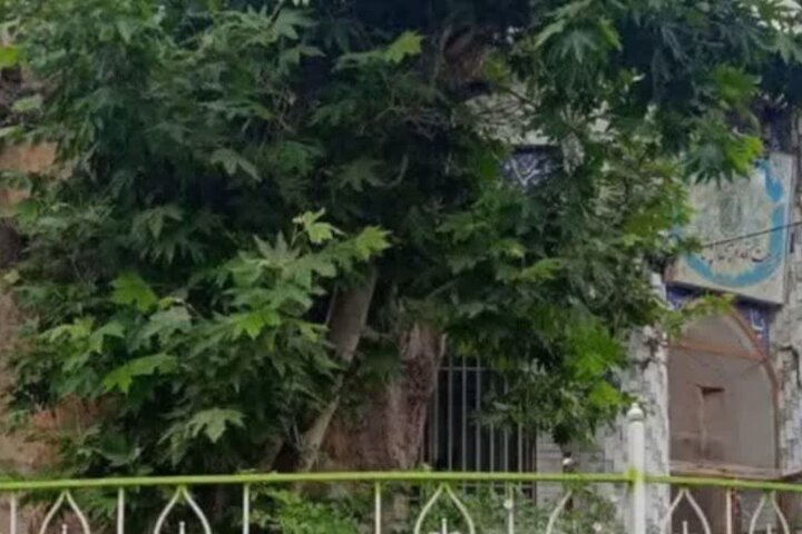 Shandiz ancient tree registered on natural heritage list