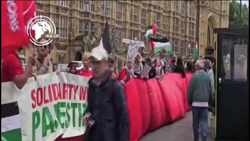“Red Line for Palestine”: Protest Held in London