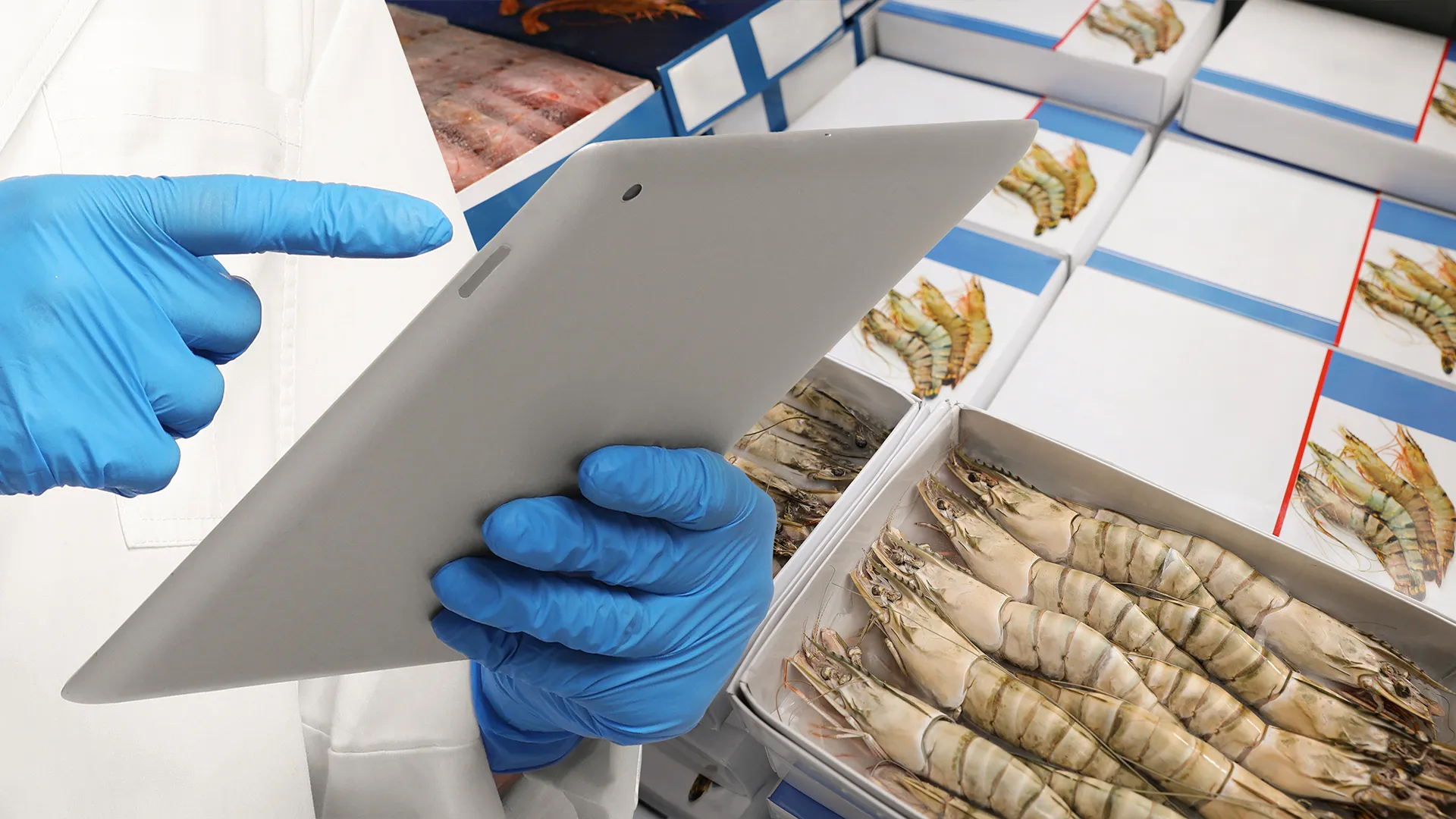 Superbugs in your shrimp: Deadly colistin-resistance genes ride on imported seafood