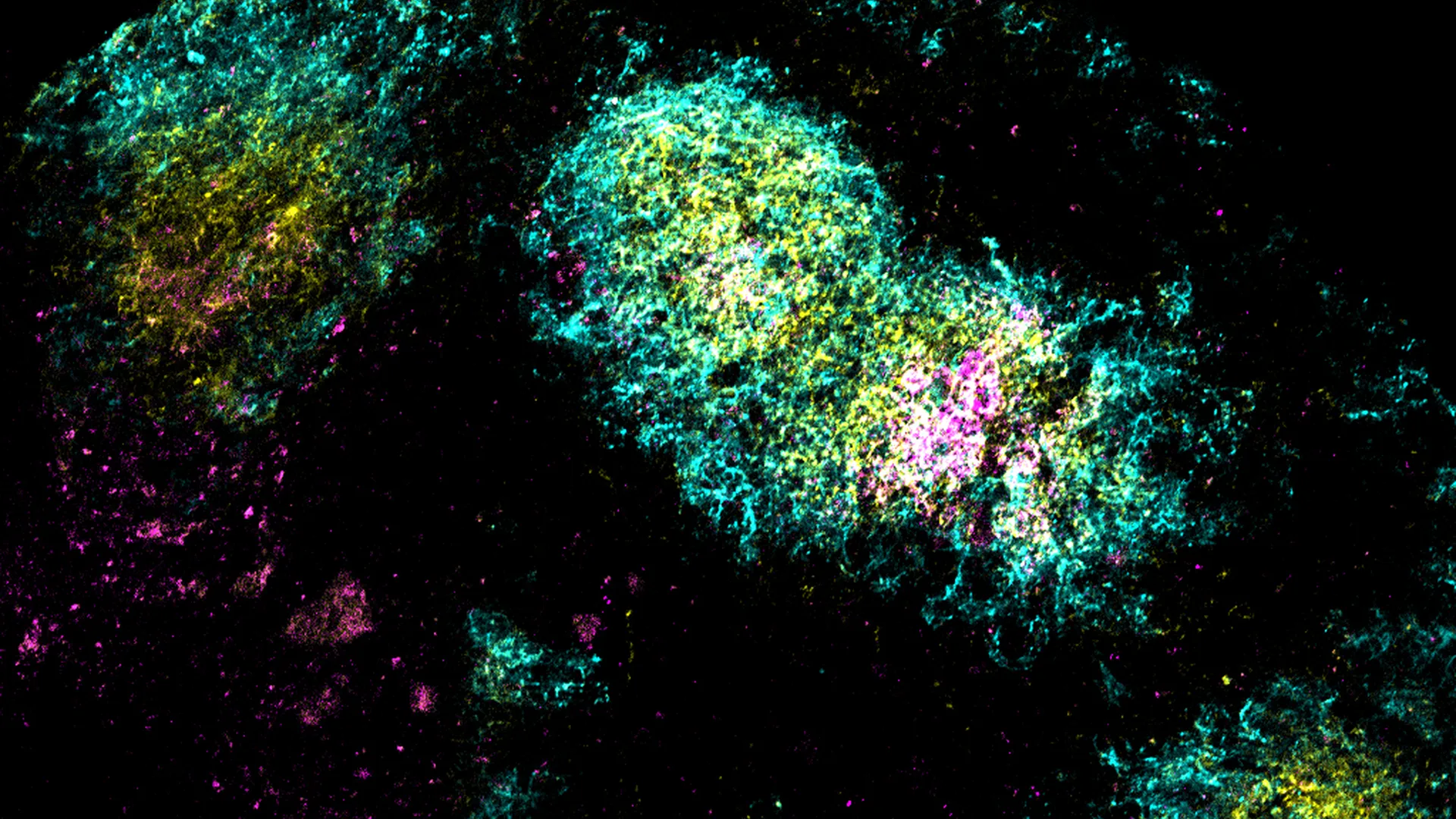 One shot to stop HIV: MIT’s bold vaccine breakthrough