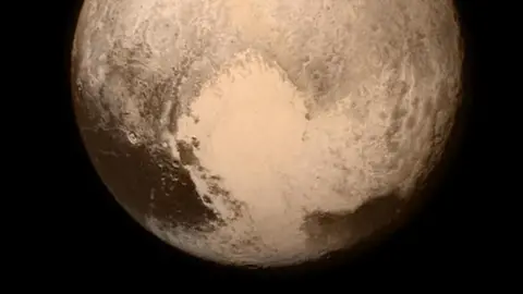 NASA/Johns Hopkins The planet Pluto appears as a sandy brown in the blackness of space with what appears to be a light coloured heart shape appearing in the southern hemisphere