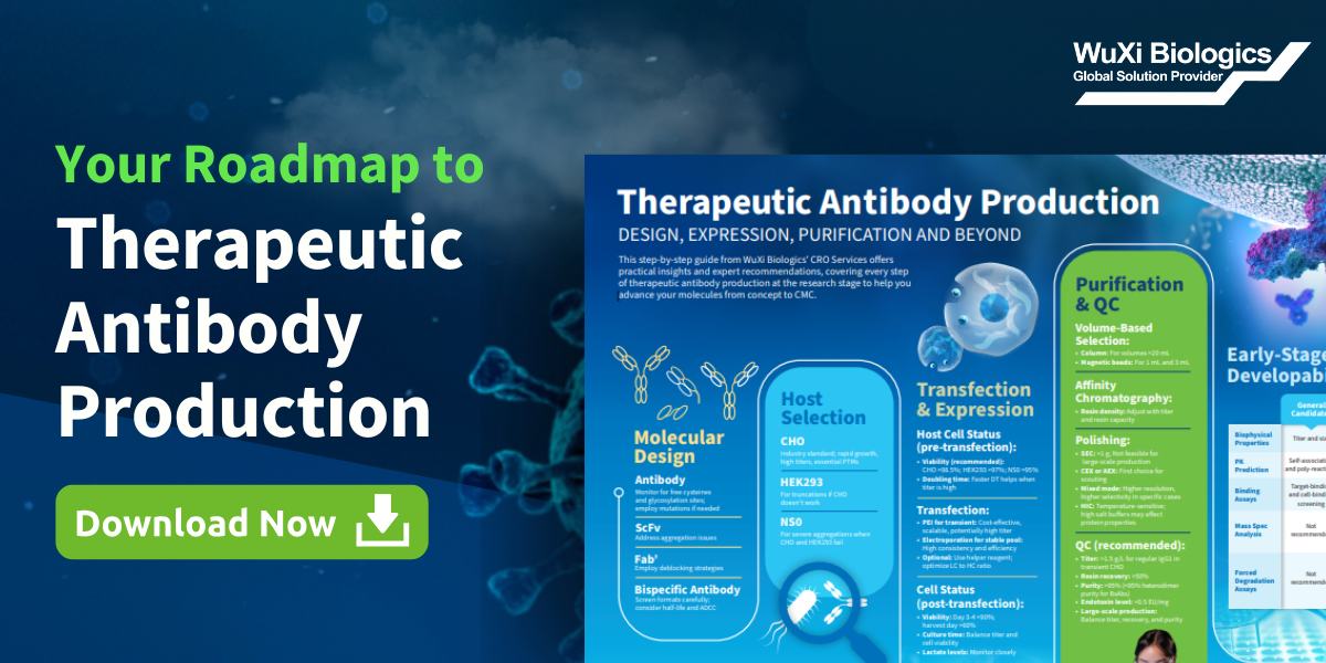 Your Roadmap to Therapeutic Antibody Production