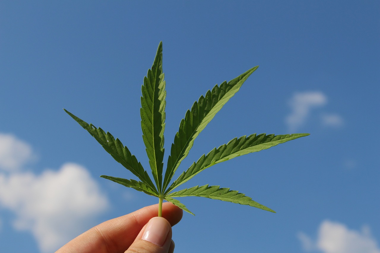 Cannabinoids in Cancer Treatment: A Double Benefit for Patients
