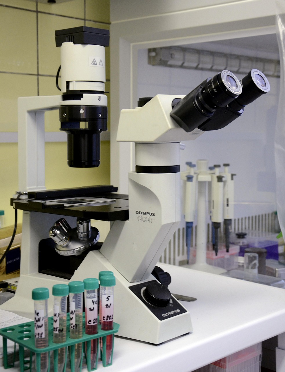 Herpes Virus Helps Improve Immune Cell Therapy