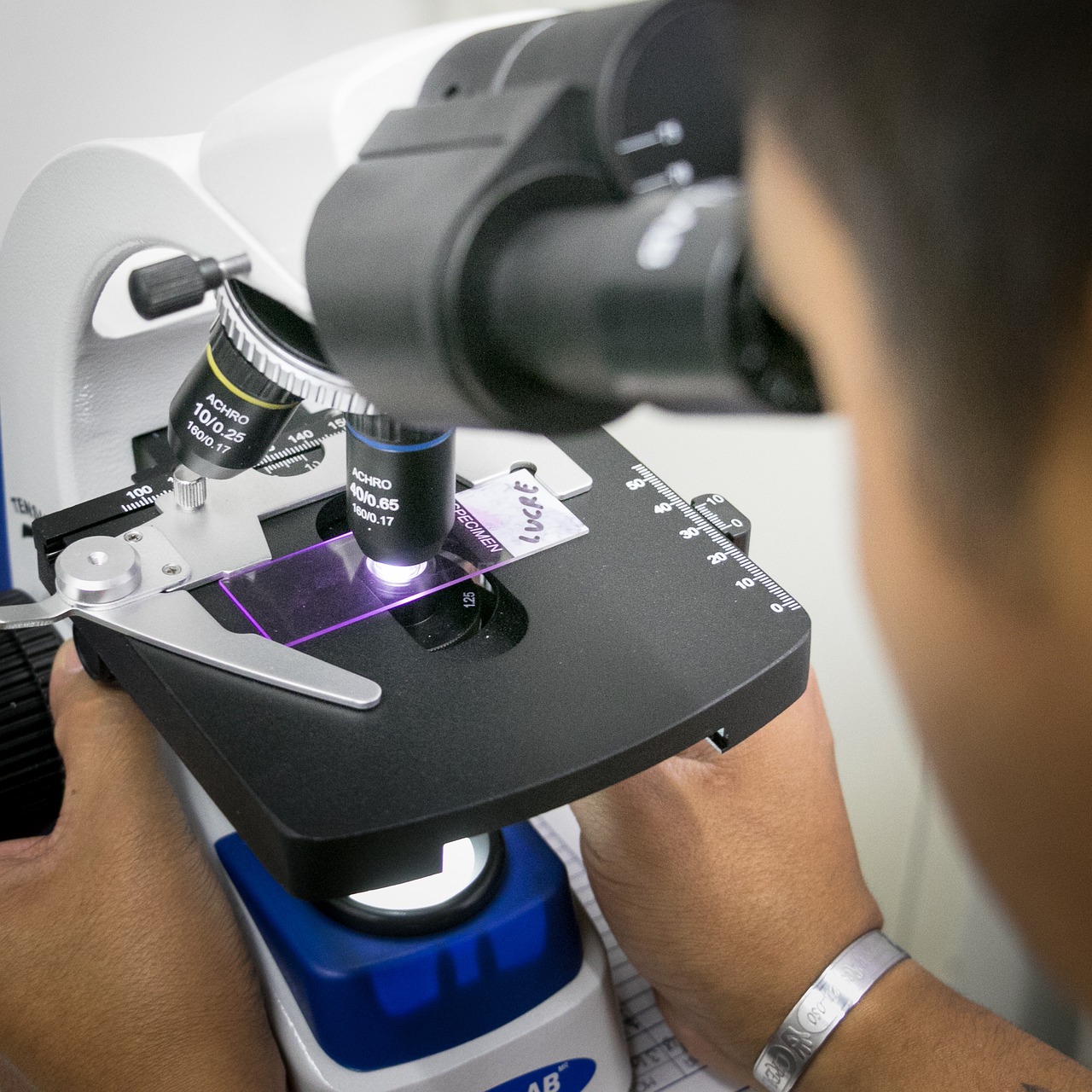 Genetic Discovery Regulates Immune Cell Function