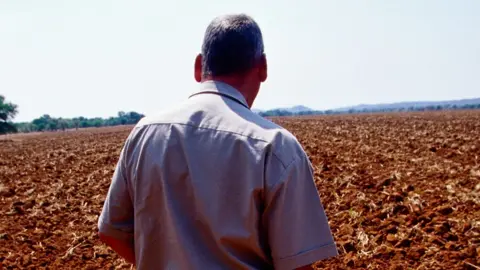 Getty Images A white farmer who lost land looks a tilled soil in Zimbabwe