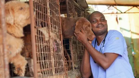 Kelechi Anozia / BBC Dr Mark Afua, a vet in Lagos wearing blue scrubs and a stethoscope, hugs a brown dog whose head is pocking out of a metal cage. Other caged dogs can be seen 