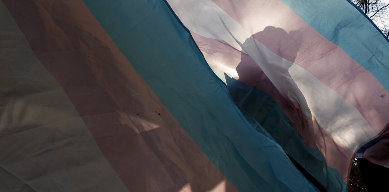Our trans health study was terminated by the government – the effects of abrupt NIH grant cuts ripple across science and society
