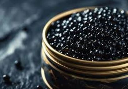 Iran’s Caviar Production Grows by 17% Iran’s Caviar Production Grows by 17%