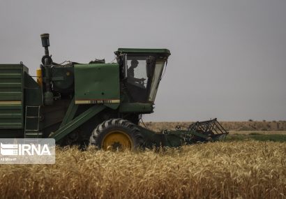 Farmers Ready to Sustain Production Under Any Circumstances Farmers Ready to Sustain Production Under Any Circumstances