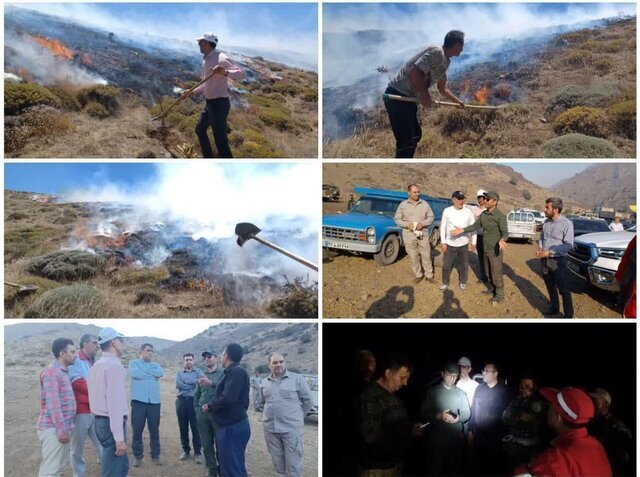 Fire has not caused any damage to UNESCO-inscribed Abr Forest