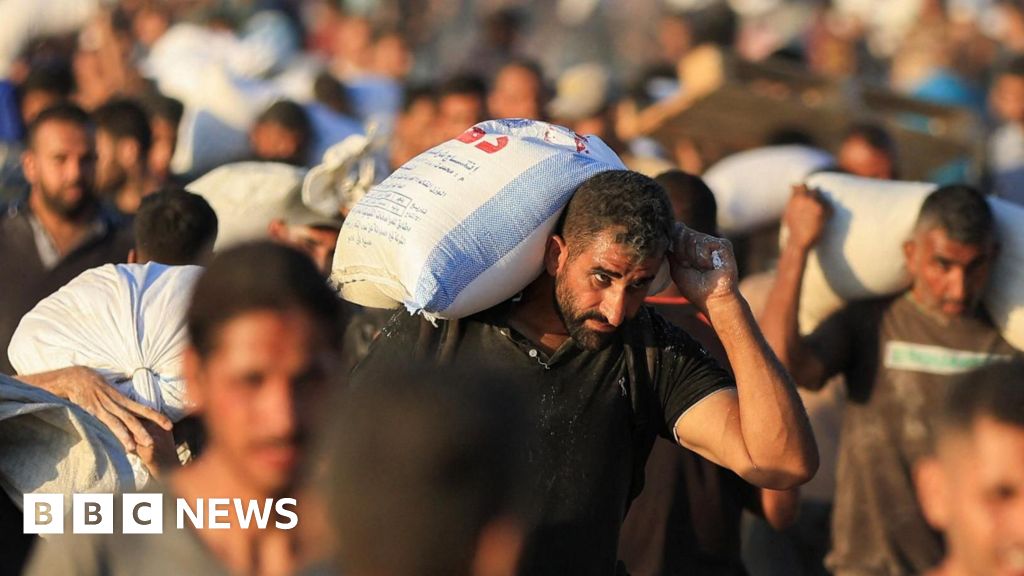 Dozens of Palestinians killed seeking aid, Gaza civil defence ministry says