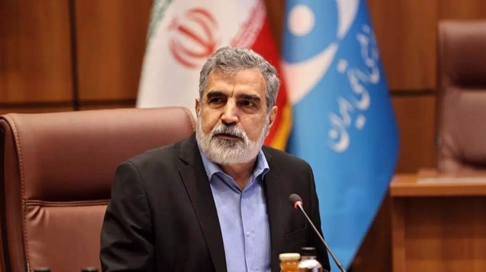Iran’s nuclear industry deeply rooted, poised to rebloom: AEOI