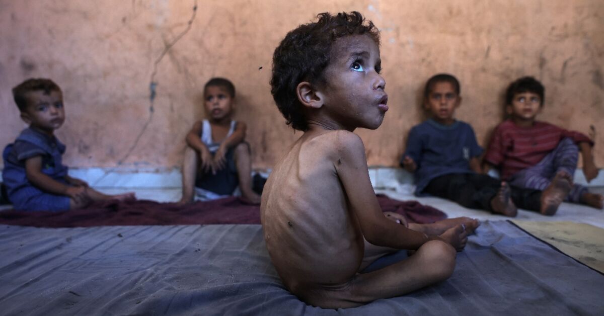 ‘Famine’, ‘starvation’: the challenges in defining Gaza’s plight