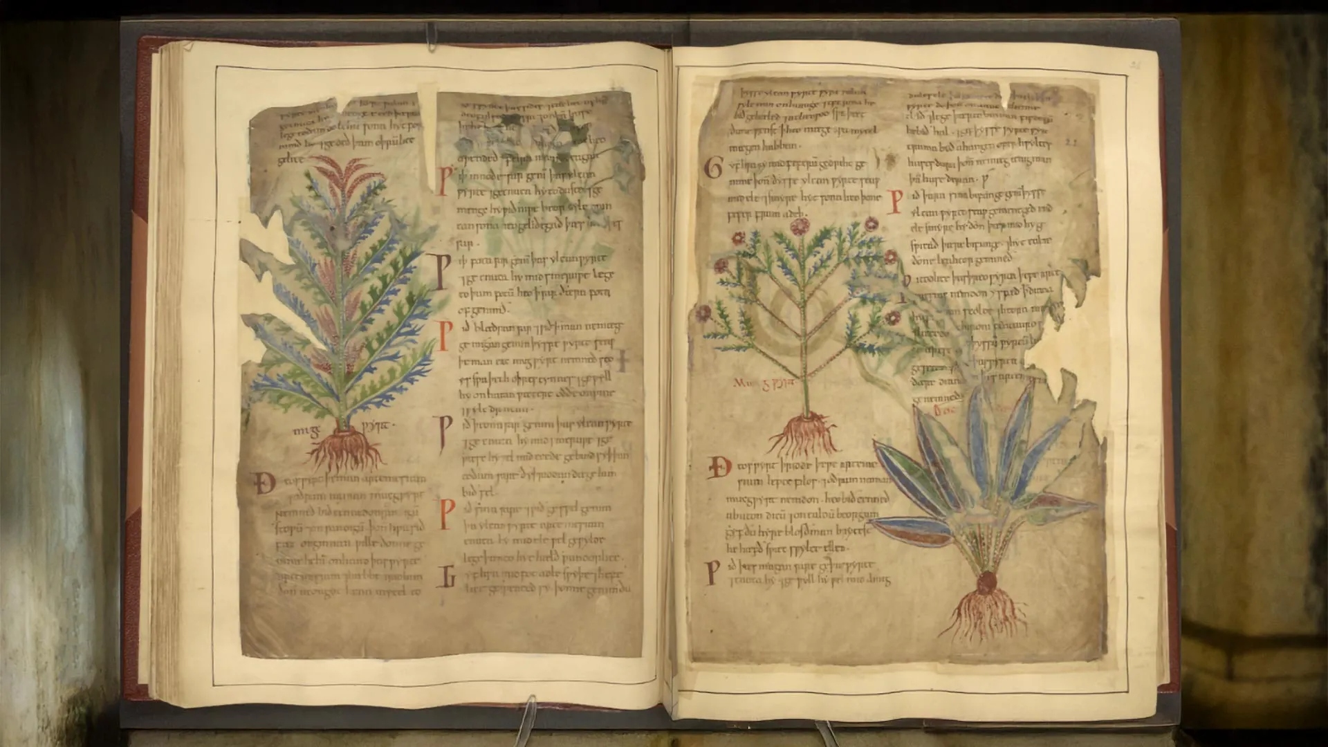 1,000-year-old health hacks are trending—and backed by science