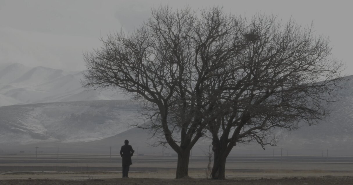 Iranian film, juror to participate in DMZ International Documentary Film Festival in South Korea