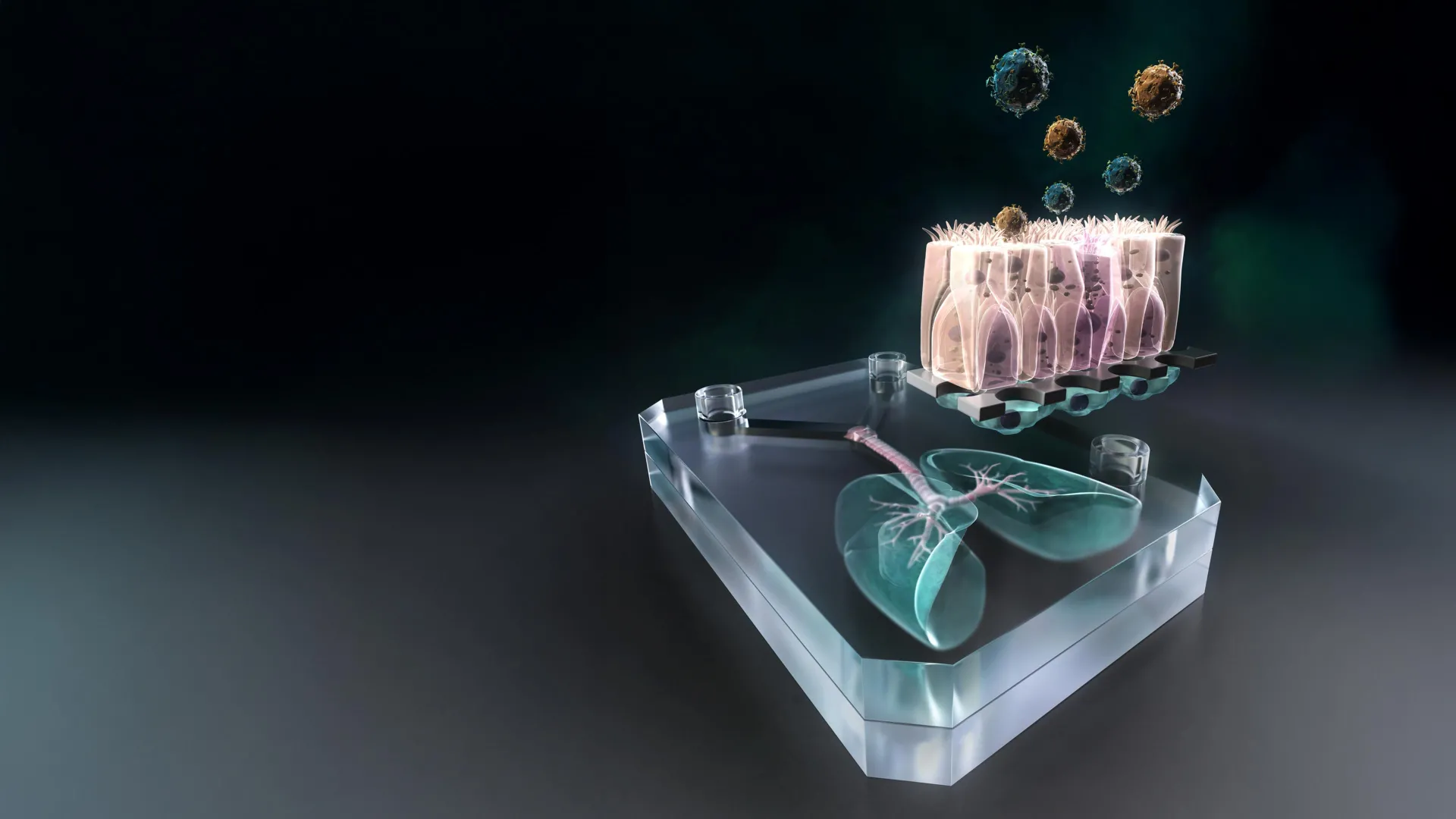This tiny lung-on-a-chip could predict—and fight—the next pandemic
