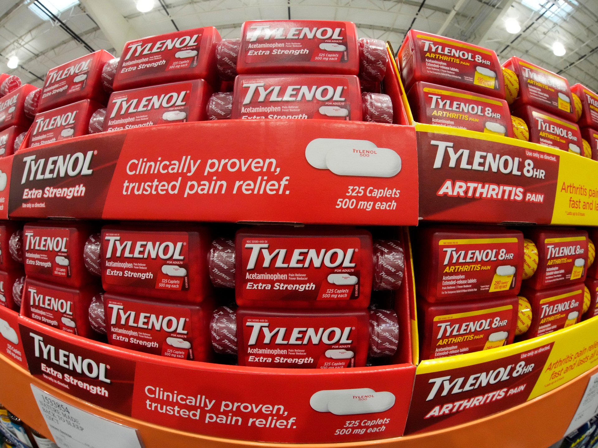 Fact check: Can taking Tylenol during pregnancy cause autism in children? | Health News