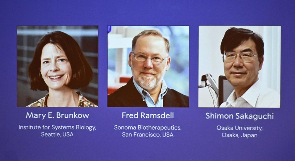 Nobel Prize Awarded To 3 Scientists For Immune System Discoveries