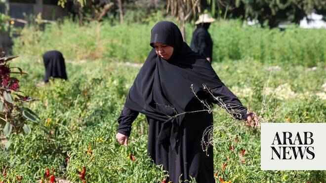 Nearly a year after truce, women in south Lebanon say war never ended