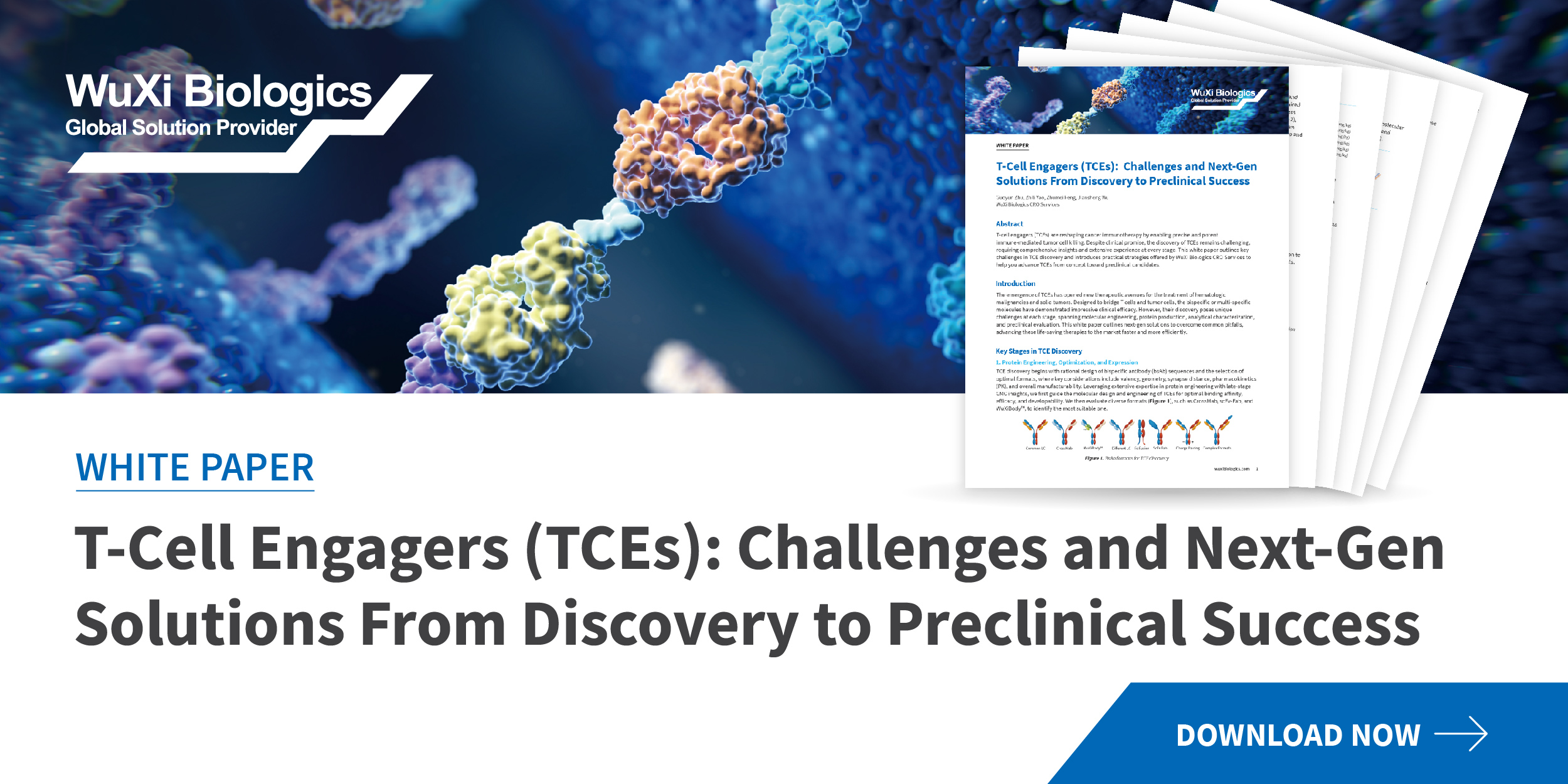 T-Cell Engager: From Discovery Hurdles to Next-Gen Solutions