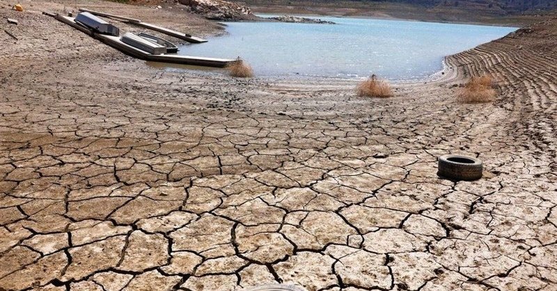 Northern Iran’s wetlands face collapse as migratory birds disappear