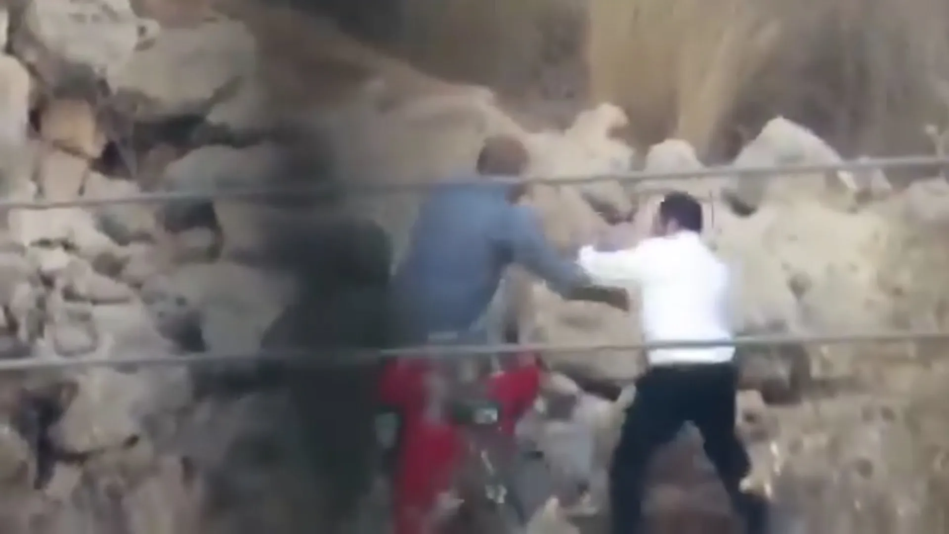 Israeli settlers and soldiers attack annual Palestinian olive harvest | Occupied East Jerusalem