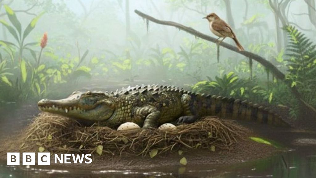 Evidence of ancient tree-climbing ‘drop crocs’ found in Australia