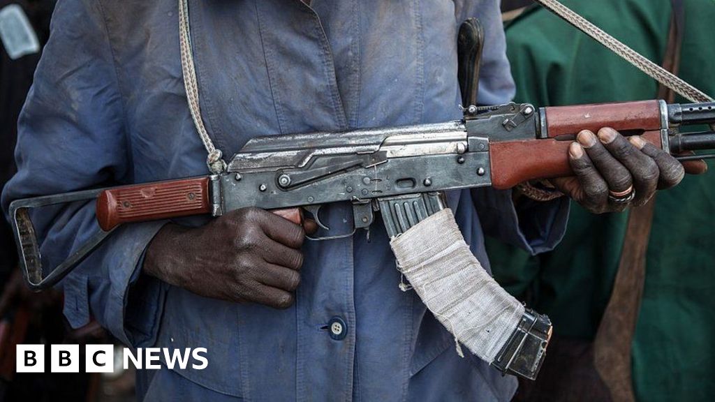 Two schoolgirls escape Nigeria kidnap ordeal, official says