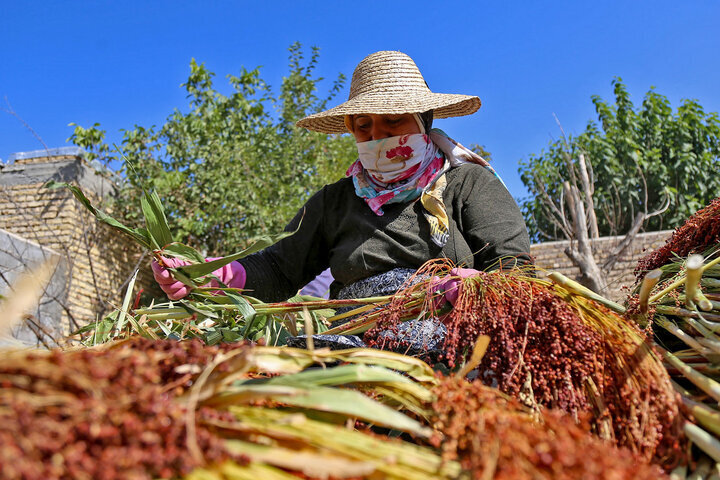 Broom weaving skills registered on National Intangible Cultural Heritage list