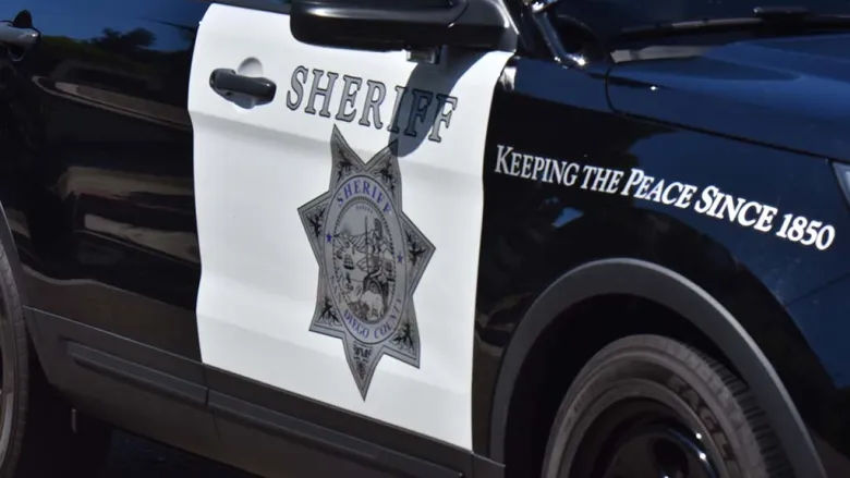 Suspect jailed in series of bronze plaque thefts at San Diego-area libraries