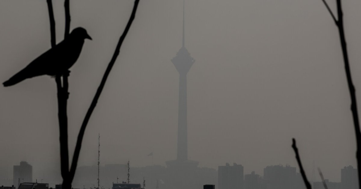 With city smog and forest fires, even breathing is a political act in Iran